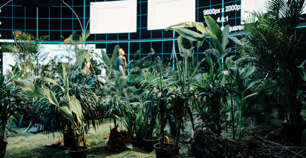 Grey Sea Dubai photo 34