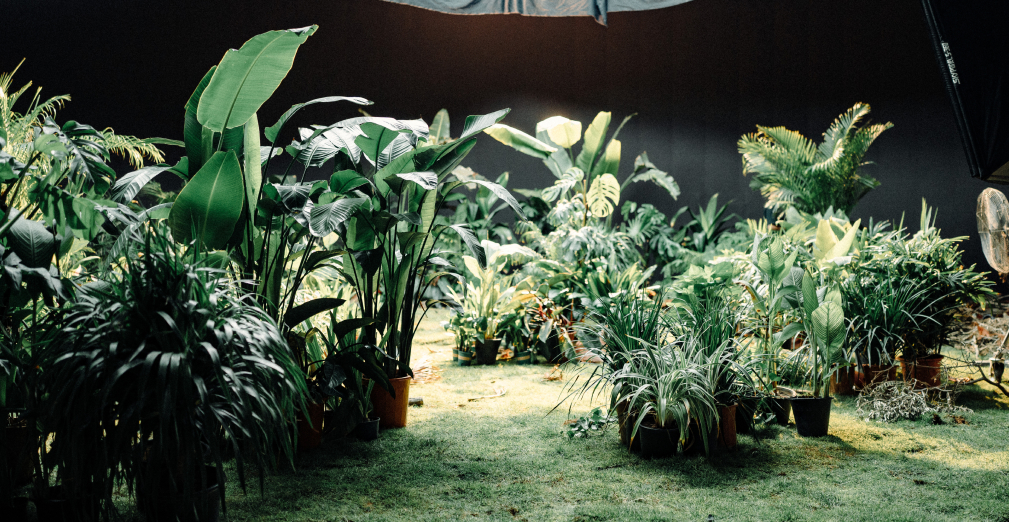 Grey Sea Dubai photo 35